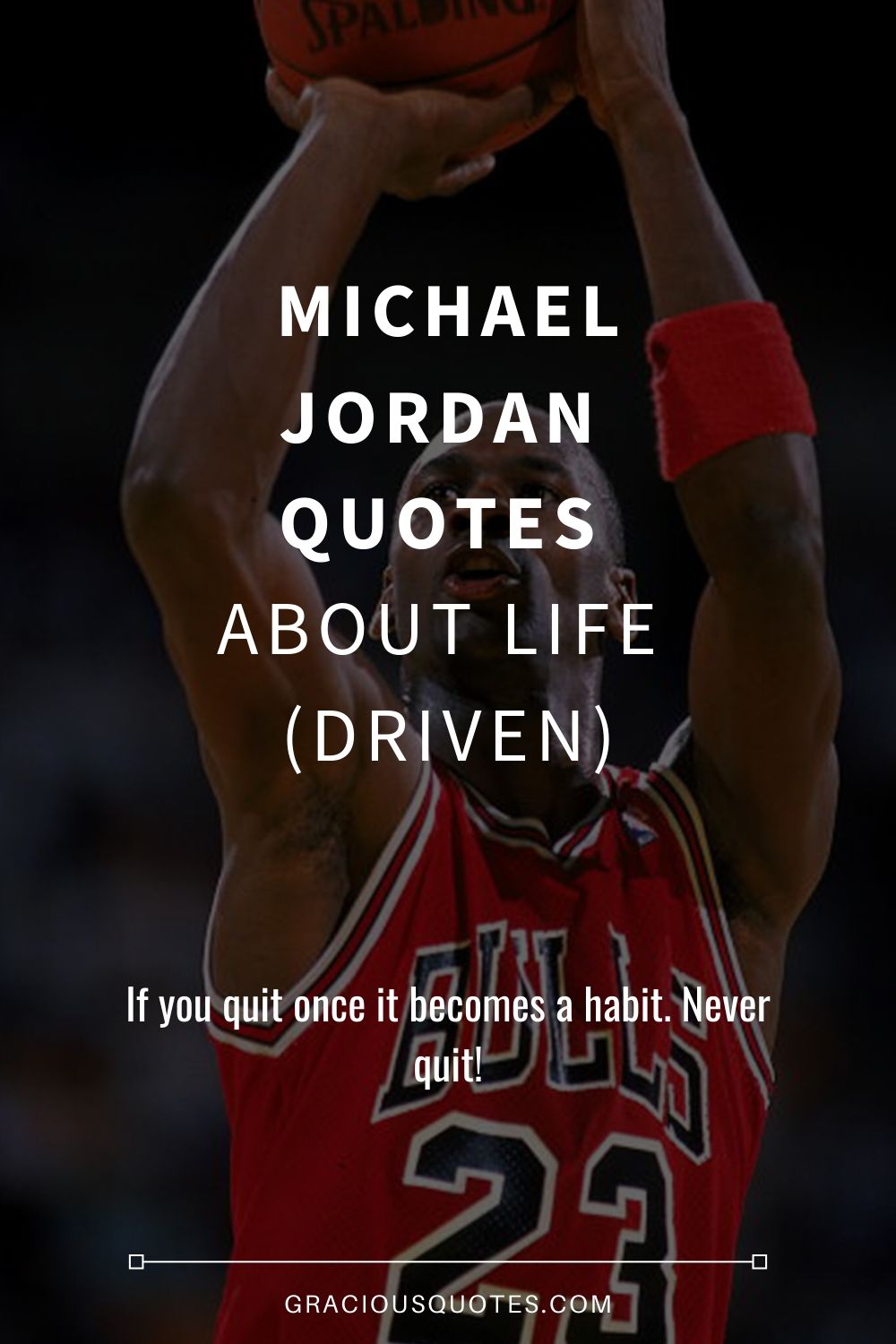 Hare lommetørklæde Tag et bad Top 63 Michael Jordan Quotes About Life (DRIVEN)