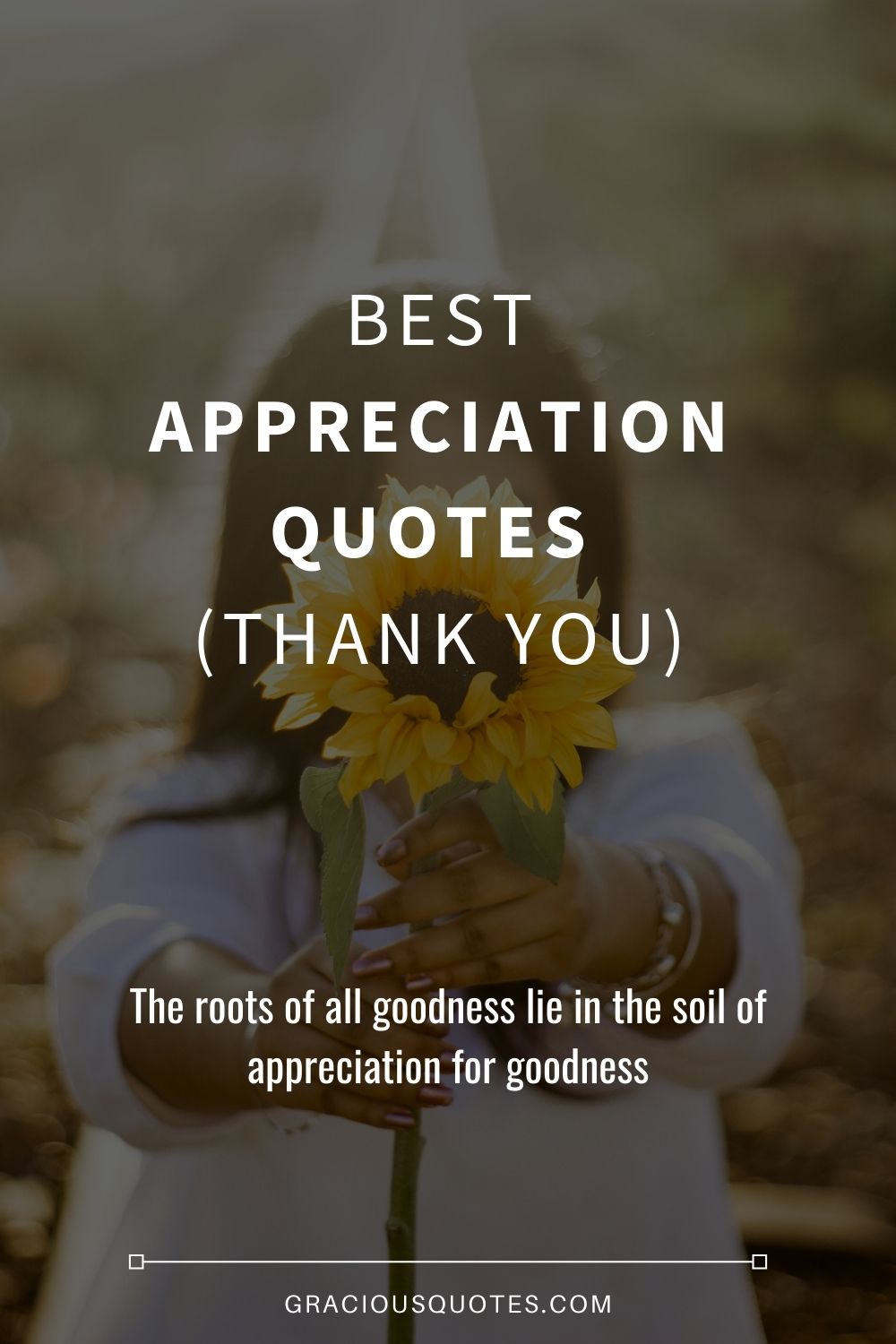 Top 12 Best Appreciation Quotes THANK YOU