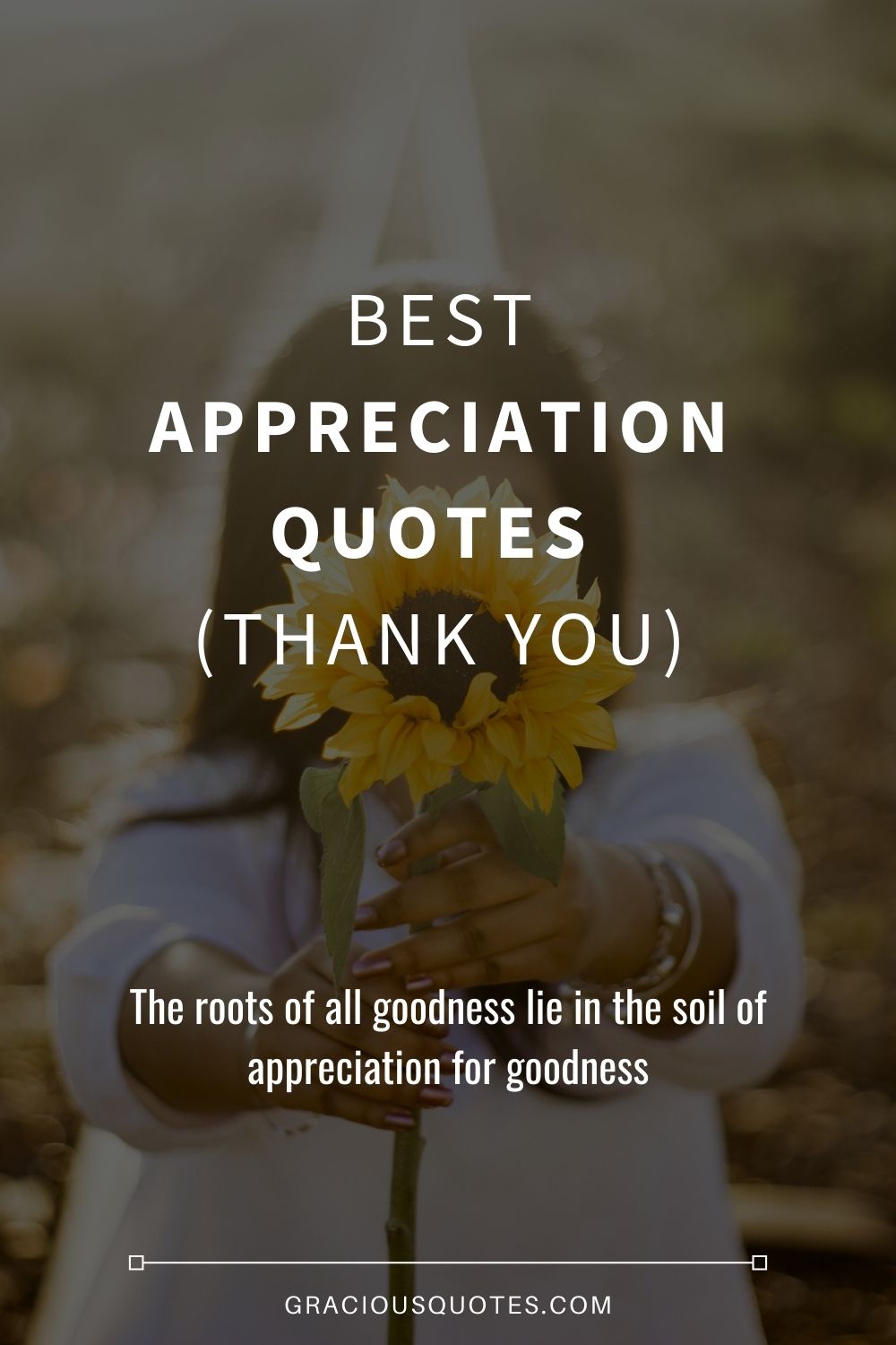 Top 72 Best Appreciation Quotes Thank You