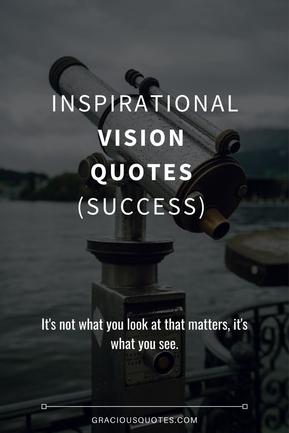 funny quotes about vision