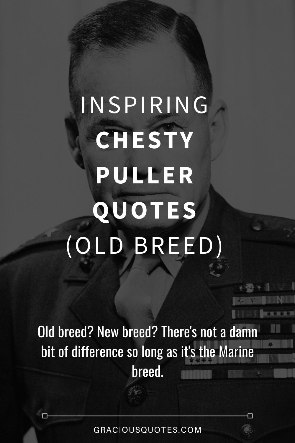 chesty puller funny