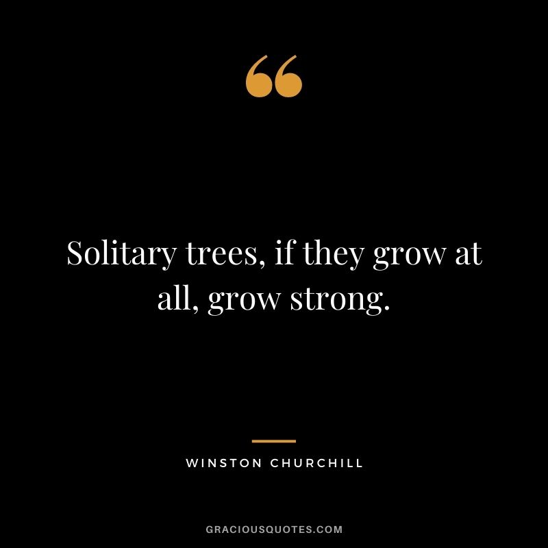 Solitary trees, if they grow at all, grow strong. - Winston Churchill