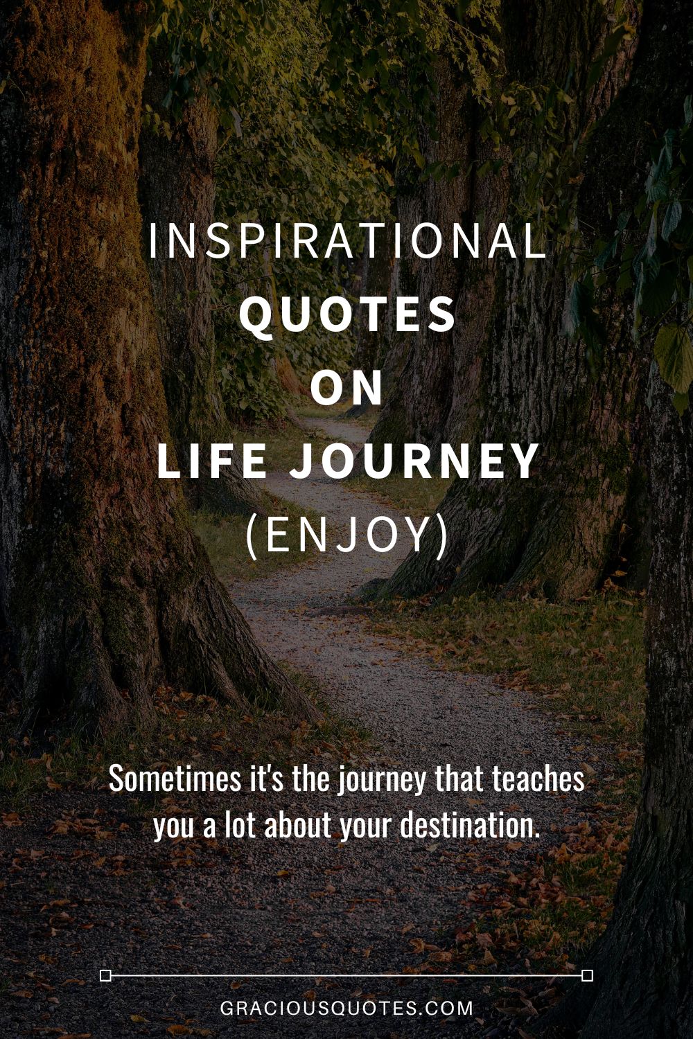 85 Inspirational Quotes on Life Journey (ENJOY)