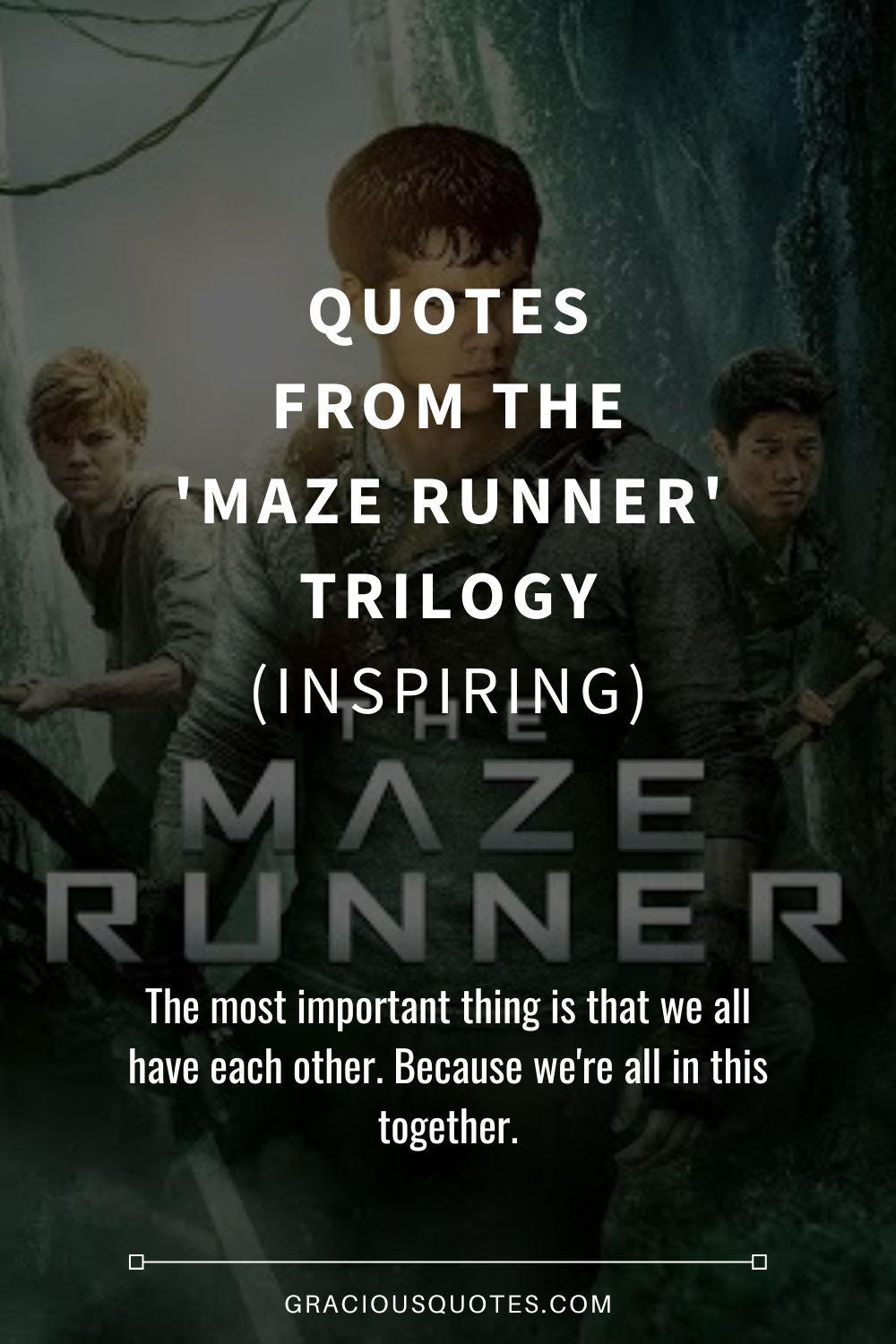 The maze runner family  Maze runner movie, Maze runner trilogy, Maze runner  funny