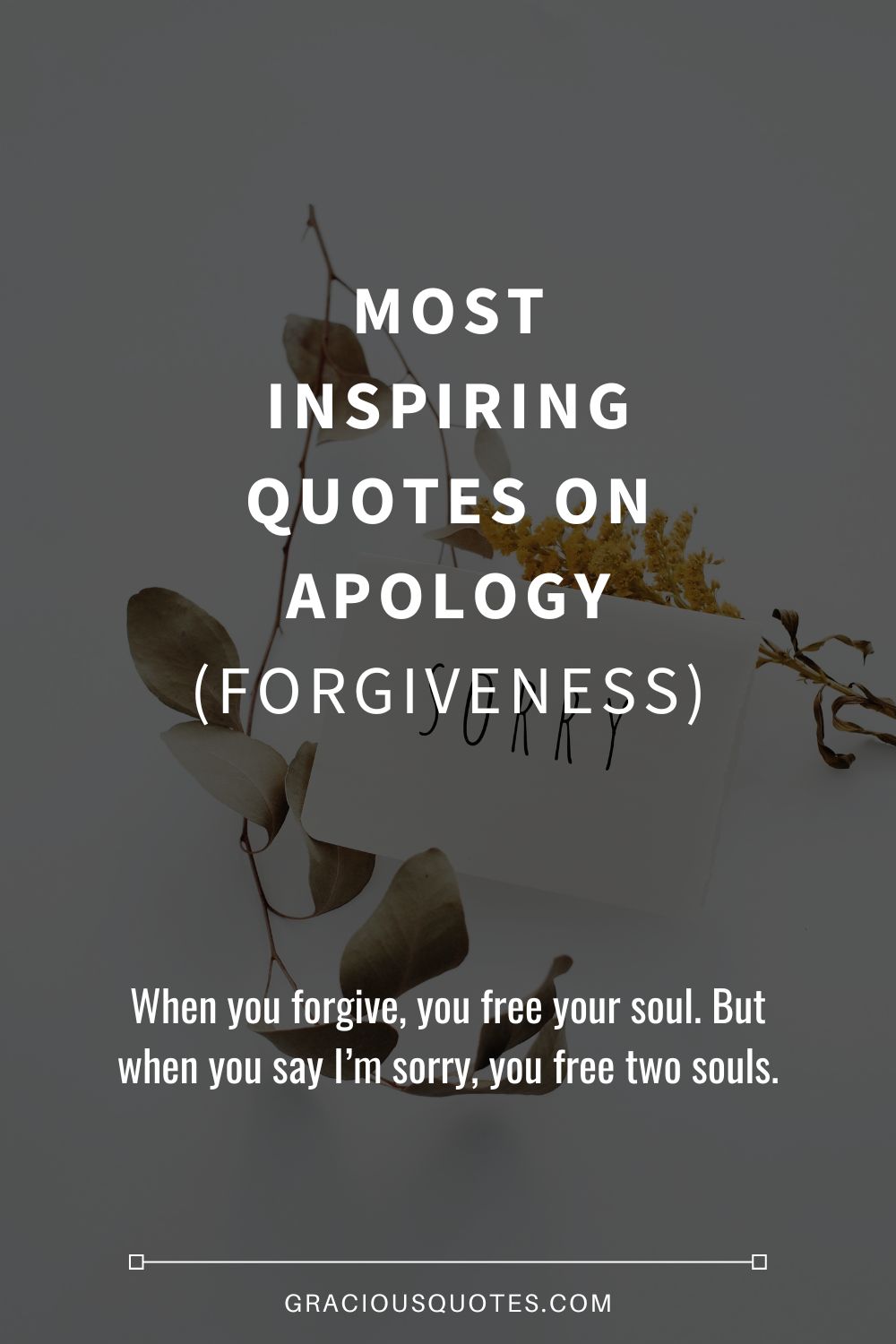 35 Sorry Love Quotes to Make a Heartfelt Apology